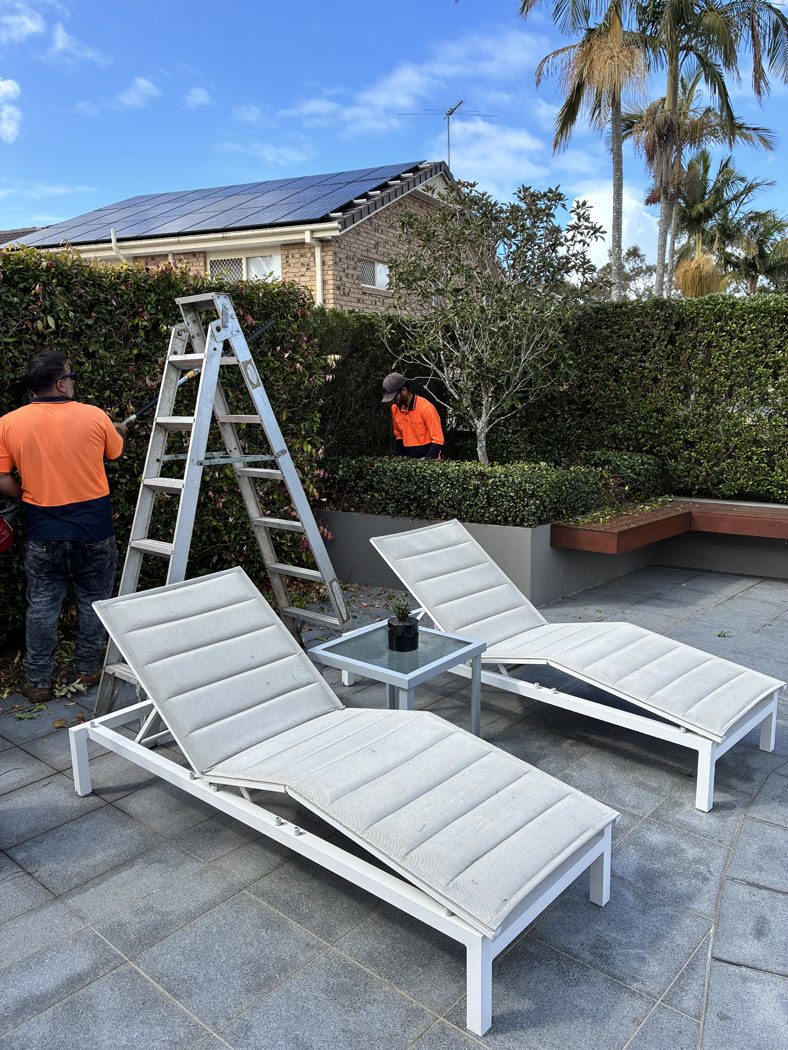 High hedge pruning work by Haider Haiwary
