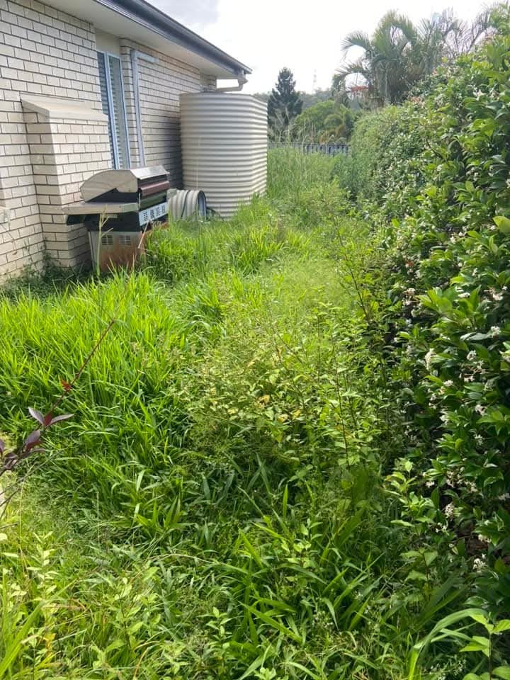 Side garden before mowing and clean-up